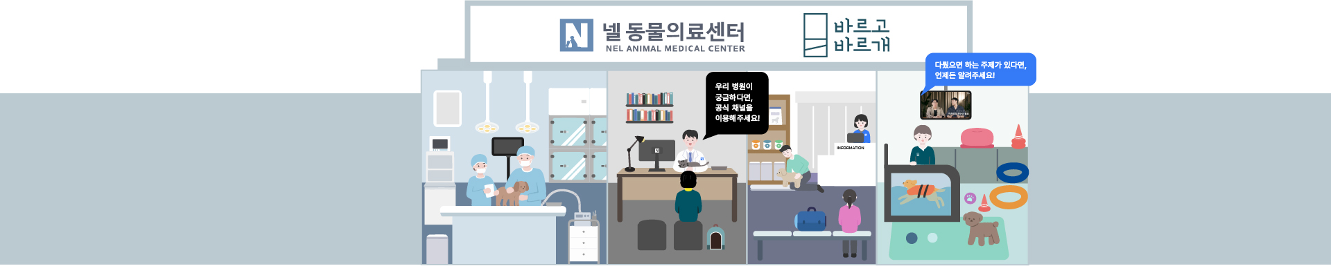 넬을 향한 문화